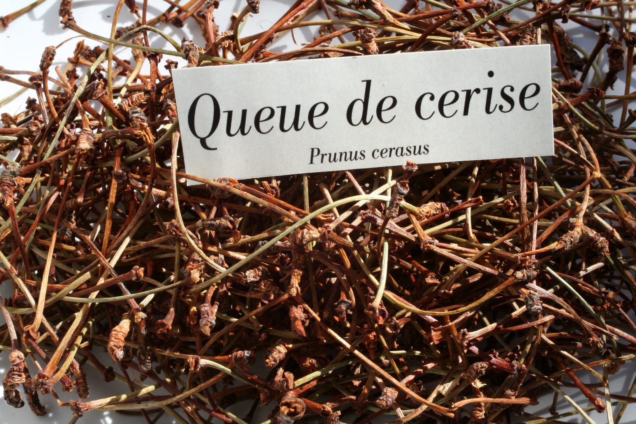 Queues de cerises en Infusion Tisane - Prunus cerasus ...