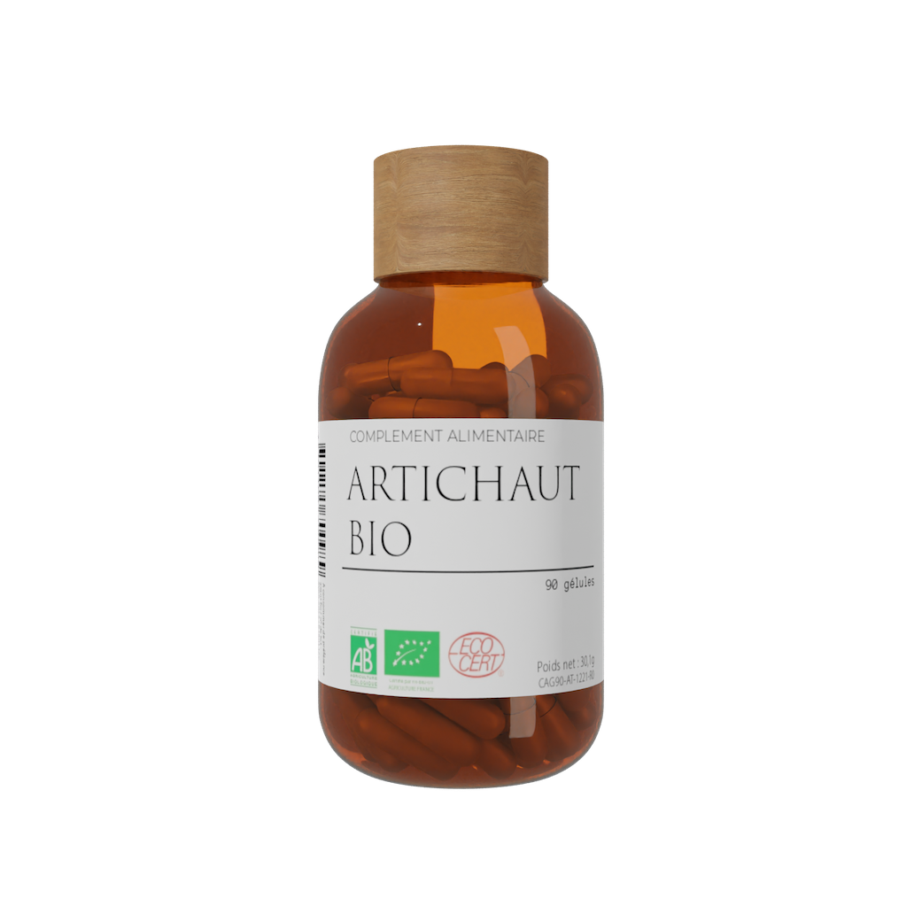Artichaut_Bio foie digestion