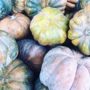 légumes fruits de saison automne, Les légumes et fruits de saison à l&#8217;automne